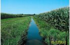 Property photo 8 - 219 +/- Acres Offered in 2 Tracts - Land Auction