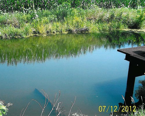 Property photo 1 - 219 +/- Acres Offered in 2 Tracts - Land Auction