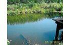 Property photo 1 - 219 +/- Acres Offered in 2 Tracts - Land Auction