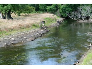 Property photo 67 - 10 Acres Offered in 2 Tracts - Real Estate and Personal Property Auction