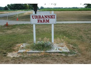 Property photo 61 - 10 Acres Offered in 2 Tracts - Real Estate and Personal Property Auction