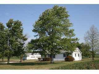 Property photo 3 - 2+/- Acres with Country Home & Outbuildings Real Estate Auction
