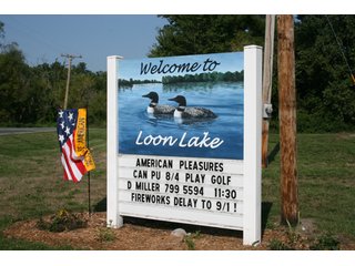 Property photo 3 - 340 Feet Natural Lake Frontage on Loon Lake Absolute Land Auction