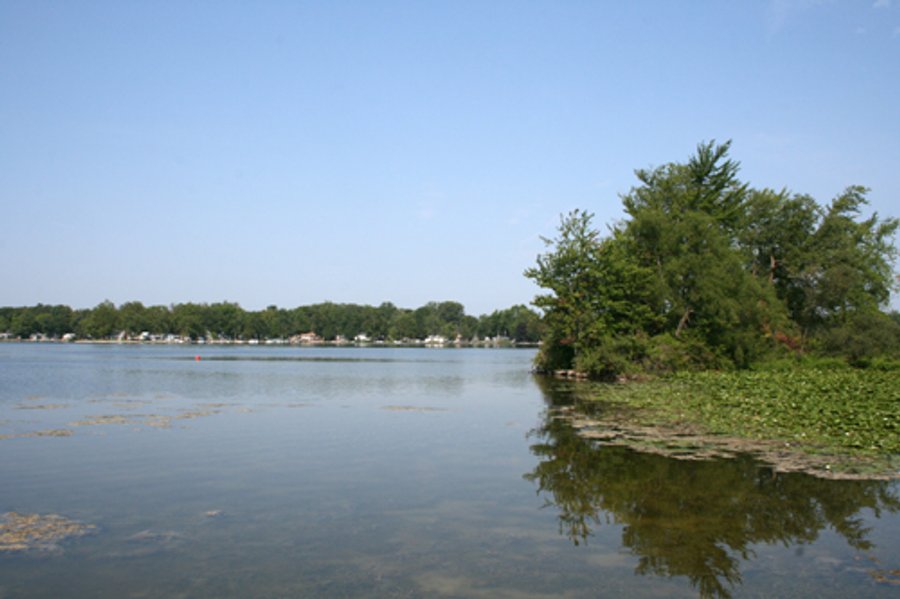 340 Feet Natural Lake Frontage on Loon Lake Absolute Land Auction