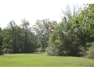 Property photo 4 - 340 Feet Natural Lake Frontage on Loon Lake Absolute Land Auction
