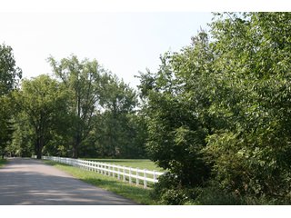Property photo 7 - 340 Feet Natural Lake Frontage on Loon Lake Absolute Land Auction