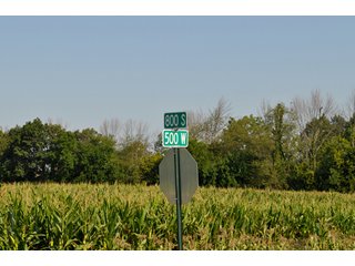 Property photo 4 - 110 +/- Acres Offered in 4 Tracts - Land Auction