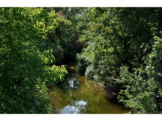 Property photo 6 - 110 +/- Acres Offered in 4 Tracts - Land Auction