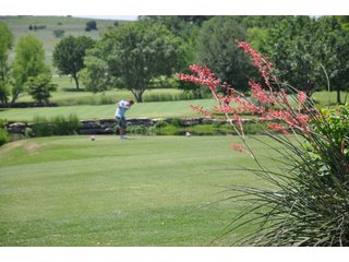 Property photo 151 - Mickle's Valley View Ranch and Canyon West Golf Club 506+/- Acres Offered in 27 Tracts in Weatherford, TX