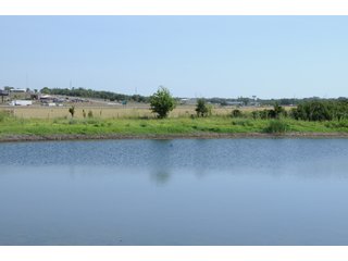 Property photo 158 - Mickle's Valley View Ranch and Canyon West Golf Club 506+/- Acres Offered in 27 Tracts in Weatherford, TX