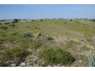 Property photo 150 - Mickle's Valley View Ranch and Canyon West Golf Club 506+/- Acres Offered in 27 Tracts in Weatherford, TX