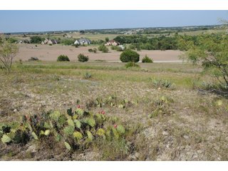 Property photo 157 - Mickle's Valley View Ranch and Canyon West Golf Club 506+/- Acres Offered in 27 Tracts in Weatherford, TX