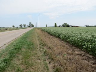 Property photo 12 - 95.5 +/- Acres Offered in 2 Tracts - Land Auction