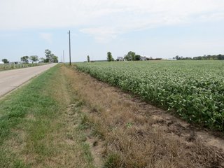 Property photo 23 - 95.5 +/- Acres Offered in 2 Tracts - Land Auction