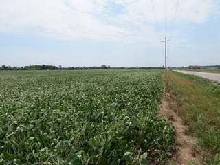 Property photo 18 - 95.5 +/- Acres Offered in 2 Tracts - Land Auction
