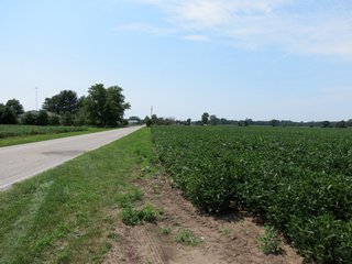 Property photo 25 - 95.5 +/- Acres Offered in 2 Tracts - Land Auction