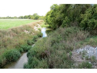 Property photo 3 - 95.5 +/- Acres Offered in 2 Tracts - Land Auction