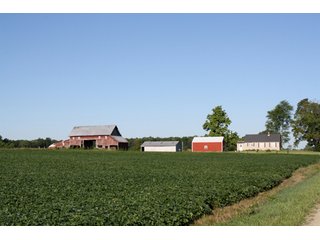 Property photo 10 - 60 +/- Acres Offered in 3 Tracts - Real Estate Auction