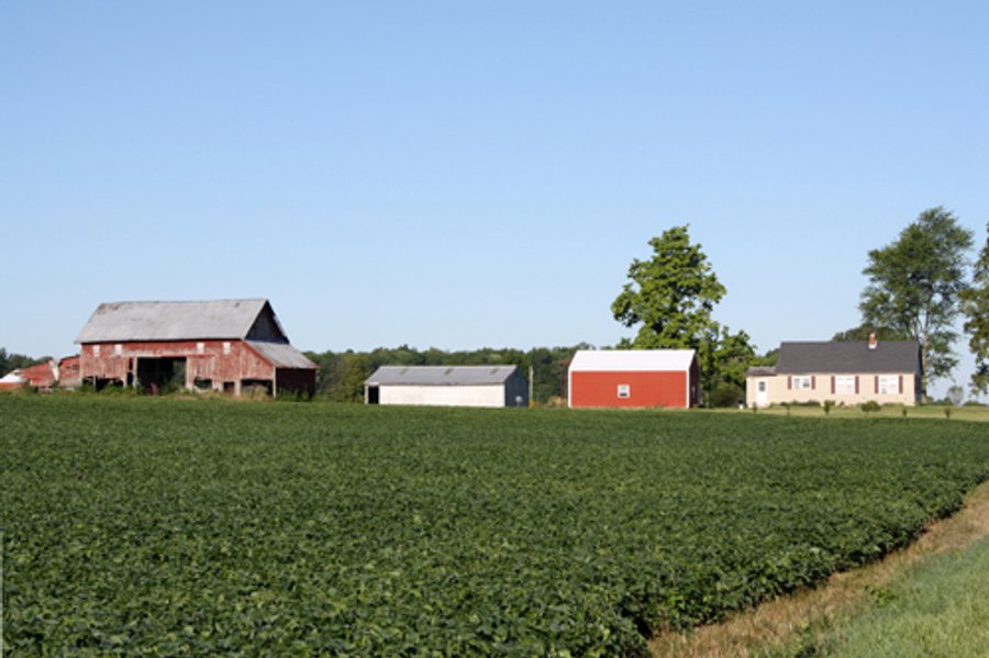 60 +/- Acres Offered in 3 Tracts - Real Estate Auction