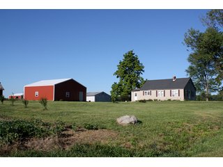 Property photo 6 - 60 +/- Acres Offered in 3 Tracts - Real Estate Auction