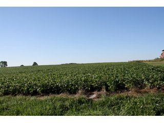 Property photo 2 - 60 +/- Acres Offered in 3 Tracts - Real Estate Auction