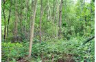 Property photo 2 - POSTPONED! 20.9+/- Acres at The Forest at Eagle - 5 Building Sites