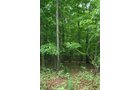 Property photo 8 - POSTPONED! 20.9+/- Acres at The Forest at Eagle - 5 Building Sites