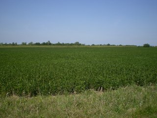 Property photo 9 - 198 +/- Acres offered in 6 Tracts - Real Estate Auction