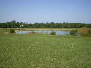 Property photo 6 - 198 +/- Acres offered in 6 Tracts - Real Estate Auction