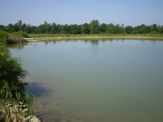 Property photo 11 - 198 +/- Acres offered in 6 Tracts - Real Estate Auction