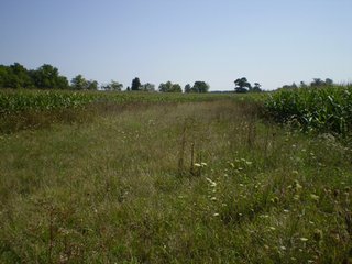 Property photo 20 - 198 +/- Acres offered in 6 Tracts - Real Estate Auction