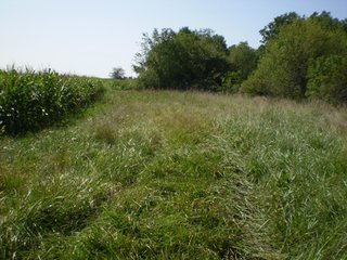 Property photo 10 - 198 +/- Acres offered in 6 Tracts - Real Estate Auction