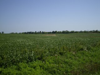 Property photo 2 - 198 +/- Acres offered in 6 Tracts - Real Estate Auction