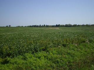 Property photo 14 - 198 +/- Acres offered in 6 Tracts - Real Estate Auction