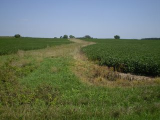 Property photo 13 - 198 +/- Acres offered in 6 Tracts - Real Estate Auction