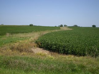 Property photo 3 - 198 +/- Acres offered in 6 Tracts - Real Estate Auction