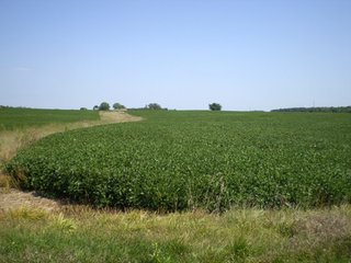 Property photo 12 - 198 +/- Acres offered in 6 Tracts - Real Estate Auction
