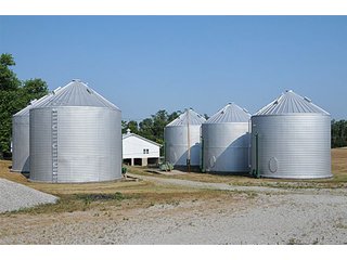 Property photo 18 - 290 +/- Acres Offered in 10 Tracts, Prime Land - Real Estate Auction