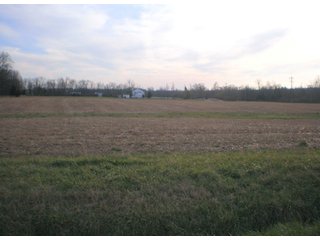 Property photo 12 - 290 +/- Acres Offered in 10 Tracts, Prime Land - Real Estate Auction