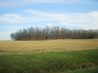 Property photo 6 - 290 +/- Acres Offered in 10 Tracts, Prime Land - Real Estate Auction