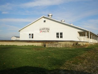 Property photo 25 - 290 +/- Acres Offered in 10 Tracts, Prime Land - Real Estate Auction