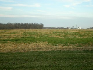 Property photo 11 - 290 +/- Acres Offered in 10 Tracts, Prime Land - Real Estate Auction