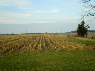 Property photo 17 - 290 +/- Acres Offered in 10 Tracts, Prime Land - Real Estate Auction