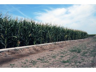 Tract 14 - Nebraska Land Auction - 1,855 Acres in 16 Tracts
