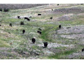 Tract 16 - Nebraska Land Auction - 1,855 Acres in 16 Tracts