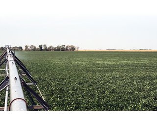 Tract 13 - Nebraska Land Auction - 1,855 Acres in 16 Tracts