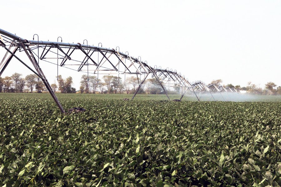 Nebraska Land Auction - 1,855 Acres in 16 Tracts