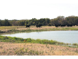 Tract 9 - Nebraska Land Auction - 1,855 Acres in 16 Tracts