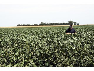Tract 1 - Nebraska Land Auction - 1,855 Acres in 16 Tracts