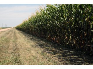 Tract 5 - Nebraska Land Auction - 1,855 Acres in 16 Tracts